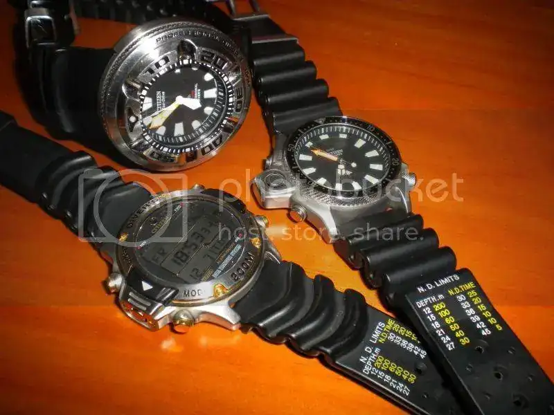 DSCN4032.webp