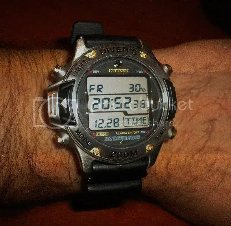 DSCN4090.webp