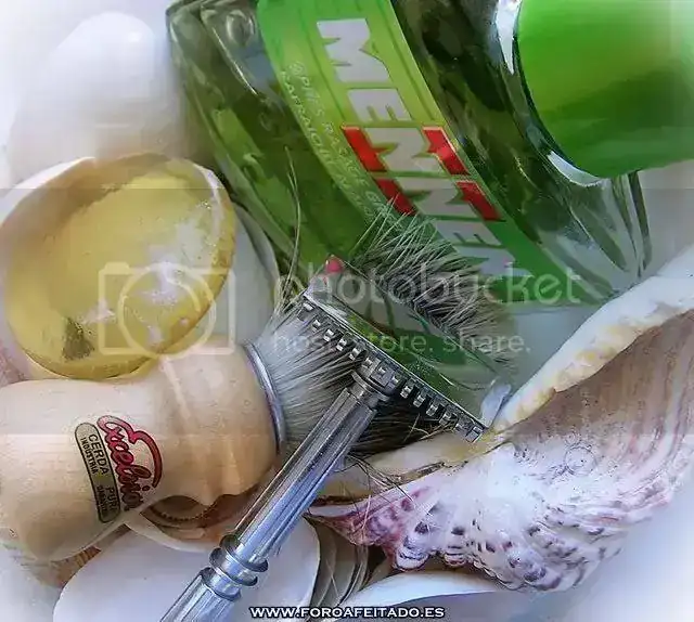 DSCN4244.webp