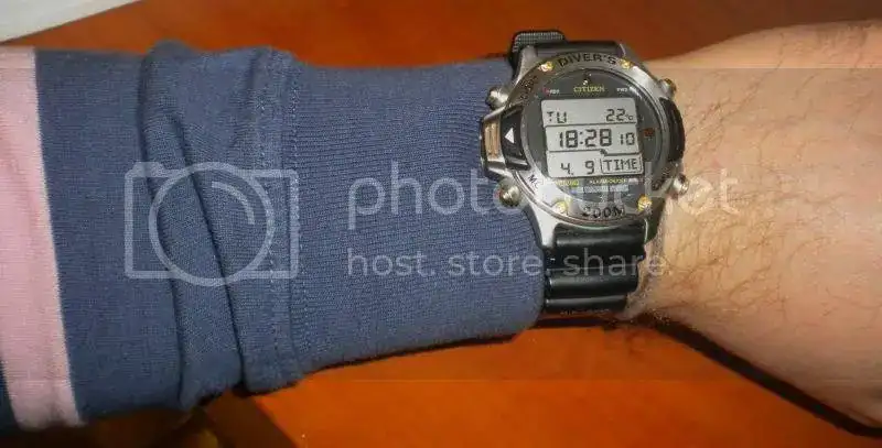 DSCN4253.webp