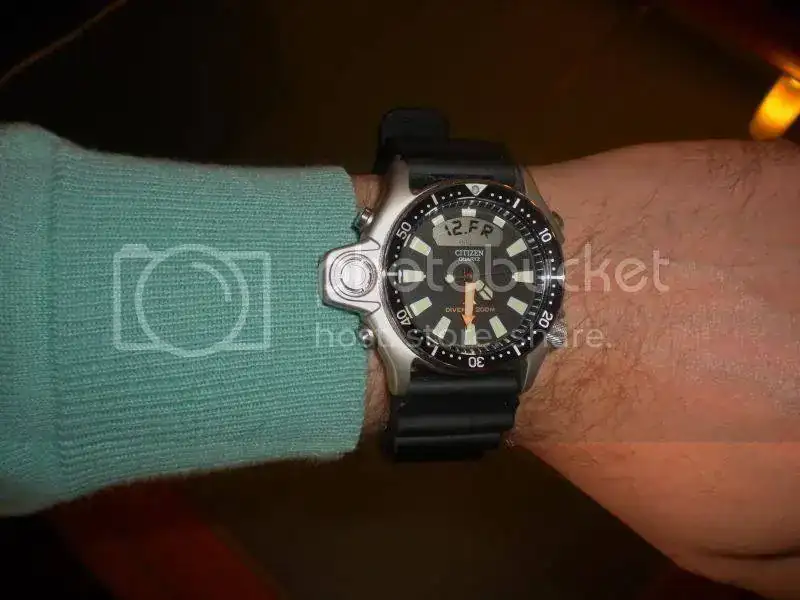 DSCN4256.webp