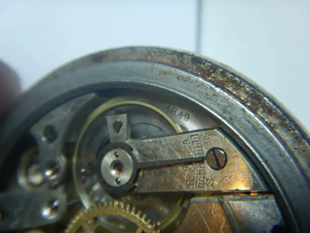 DSCN4285.webp