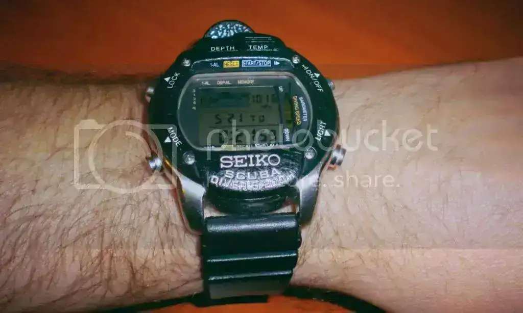 DSCN4339.webp