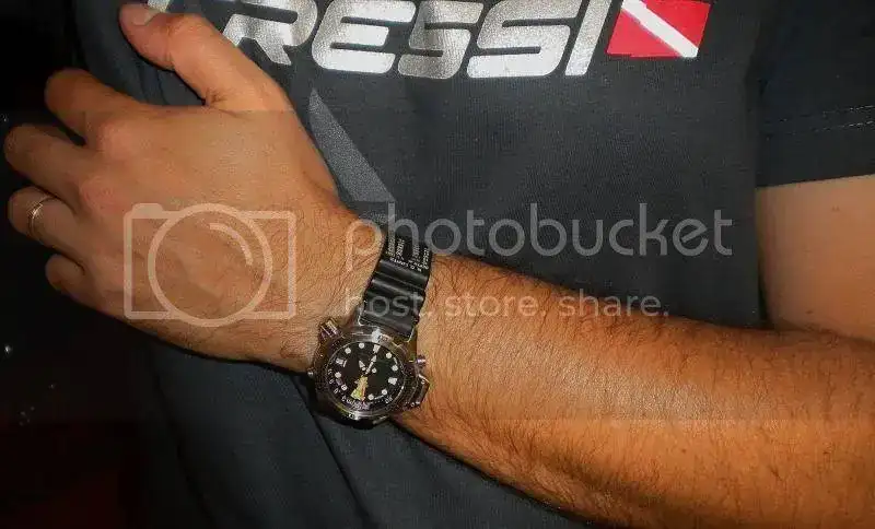 DSCN4419.webp