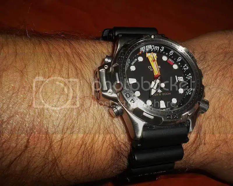 DSCN4425.webp