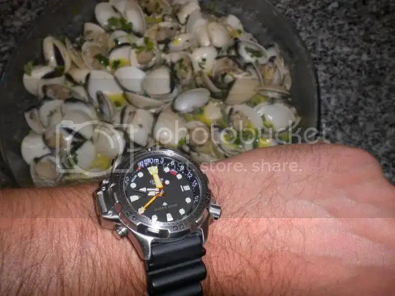 DSCN4494.webp