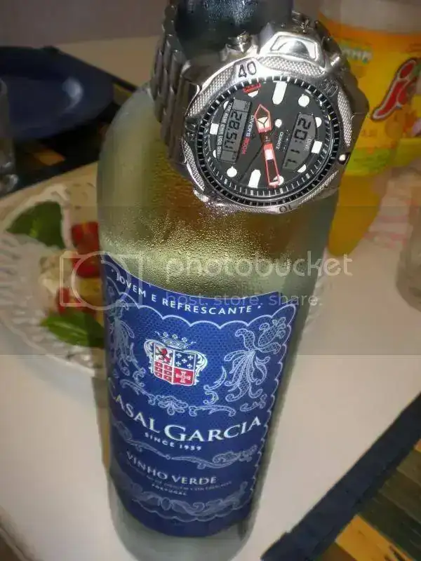 DSCN4497.webp