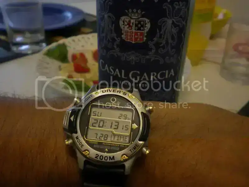 DSCN4498.webp