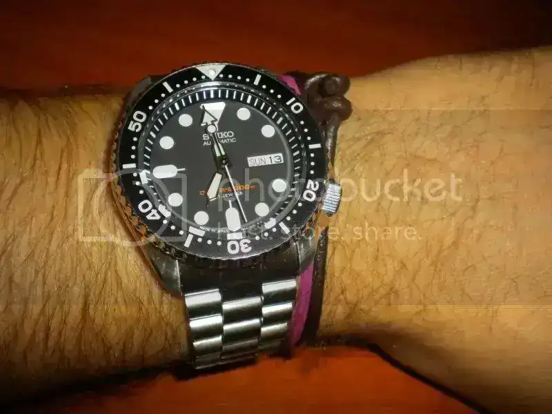 DSCN4683.webp