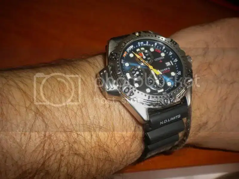 DSCN4771.webp