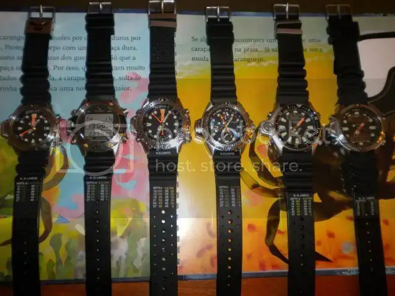 DSCN4783.webp
