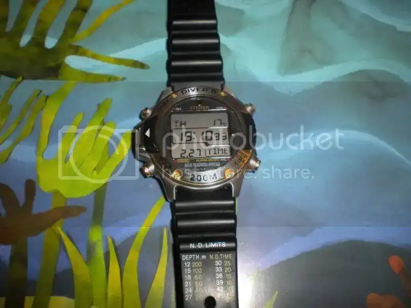 DSCN4787.webp