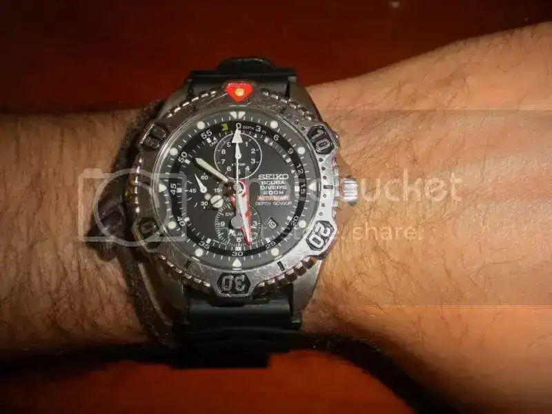 DSCN4888.webp