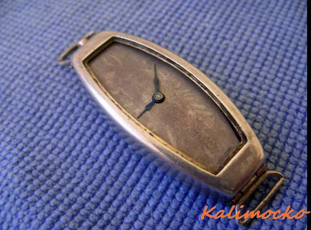 DSCN4901.webp