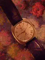 DSCN4940.webp