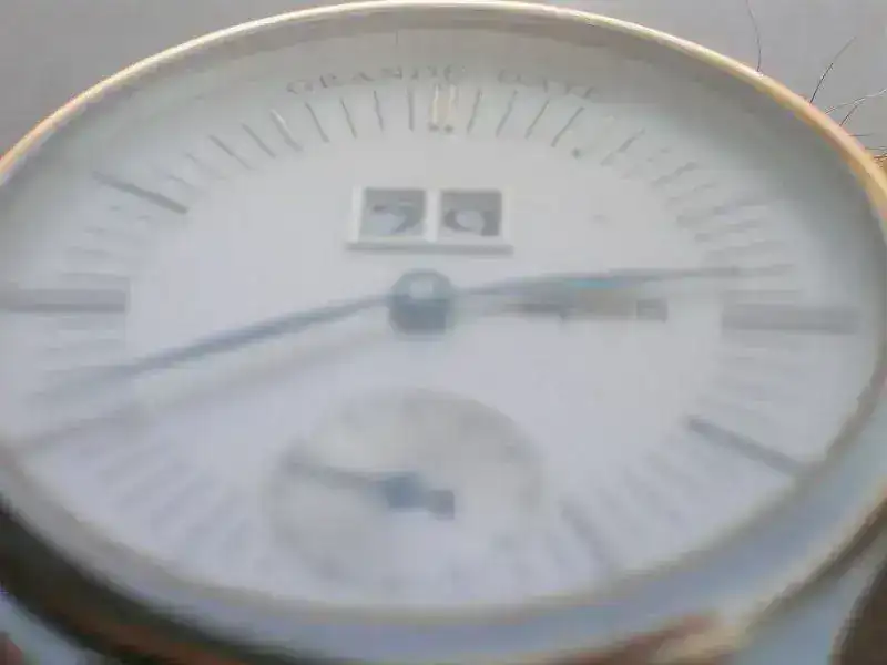 DSCN4961.webp