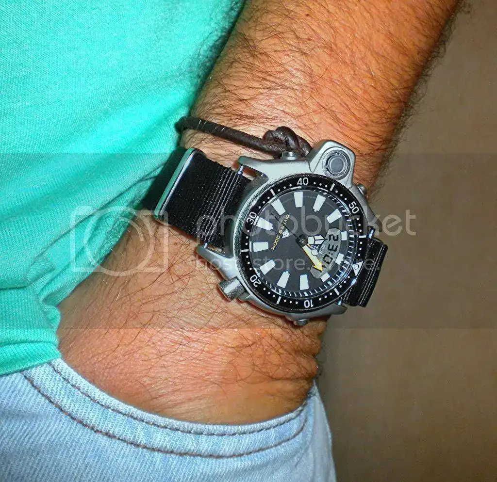 DSCN5036.webp