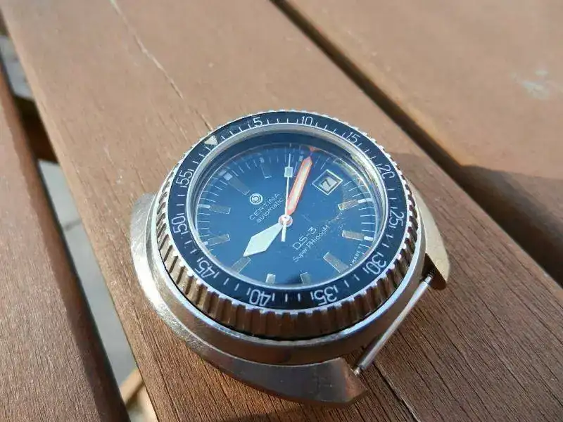 DSCN5044_zpsec723d7d (1).webp