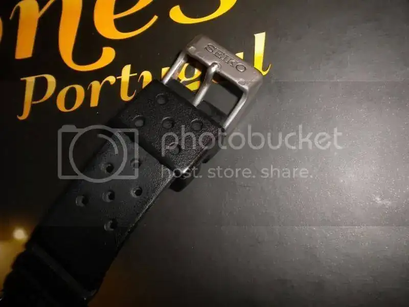 DSCN5071.webp