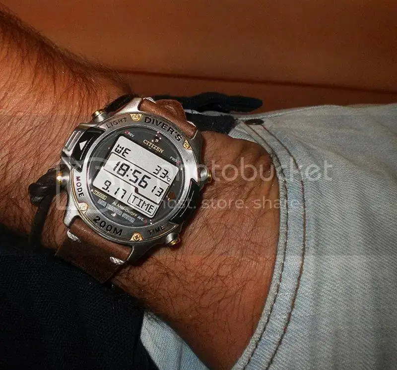 DSCN5074.webp