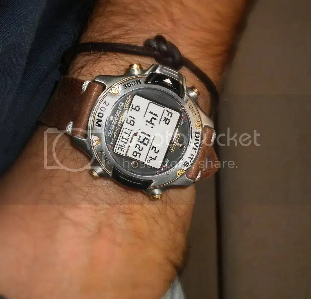 DSCN5080.webp