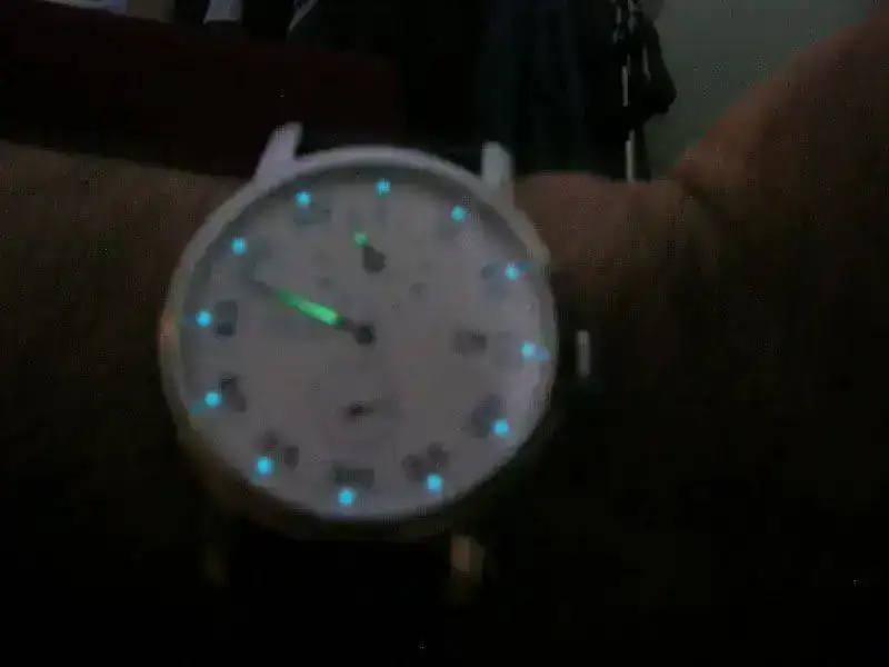 DSCN5140.webp