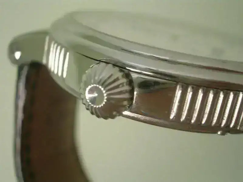 DSCN5162.webp