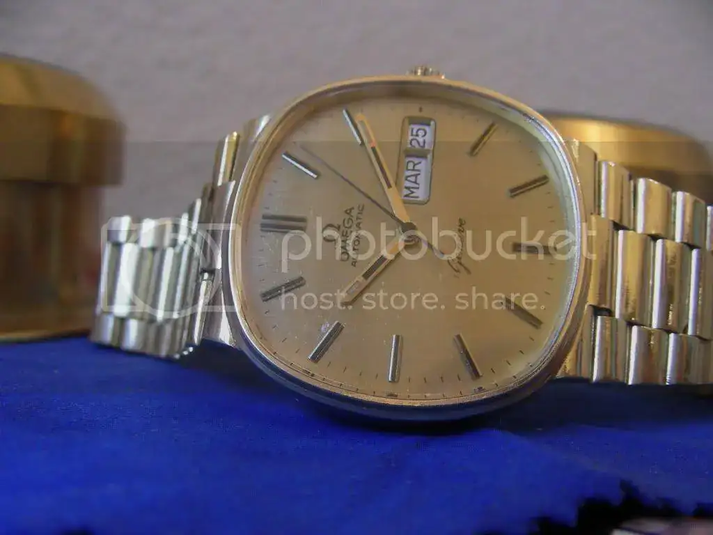 DSCN5193.webp