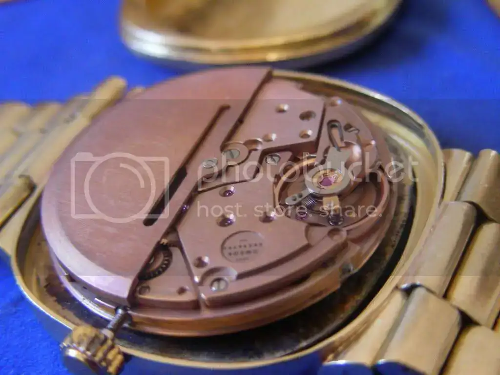 DSCN5207.webp