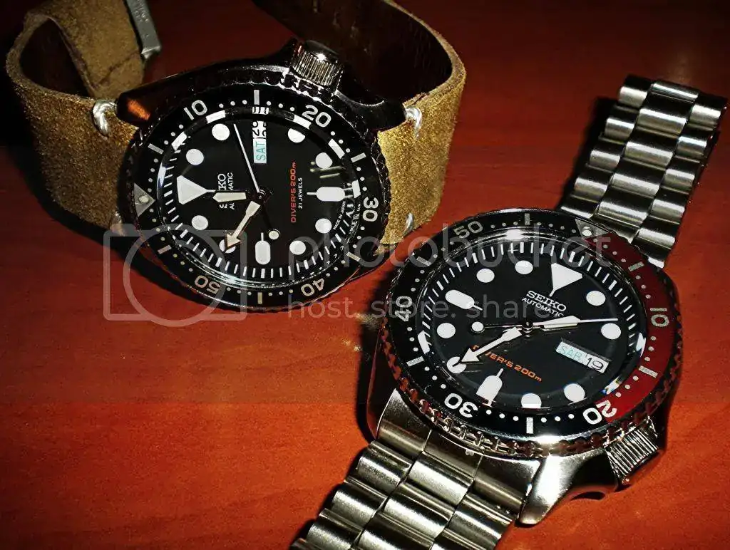 DSCN5222.webp