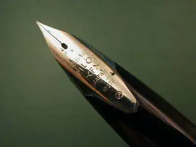 DSCN5249.webp