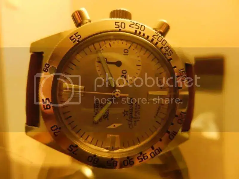 DSCN5252_zps963692bd.webp