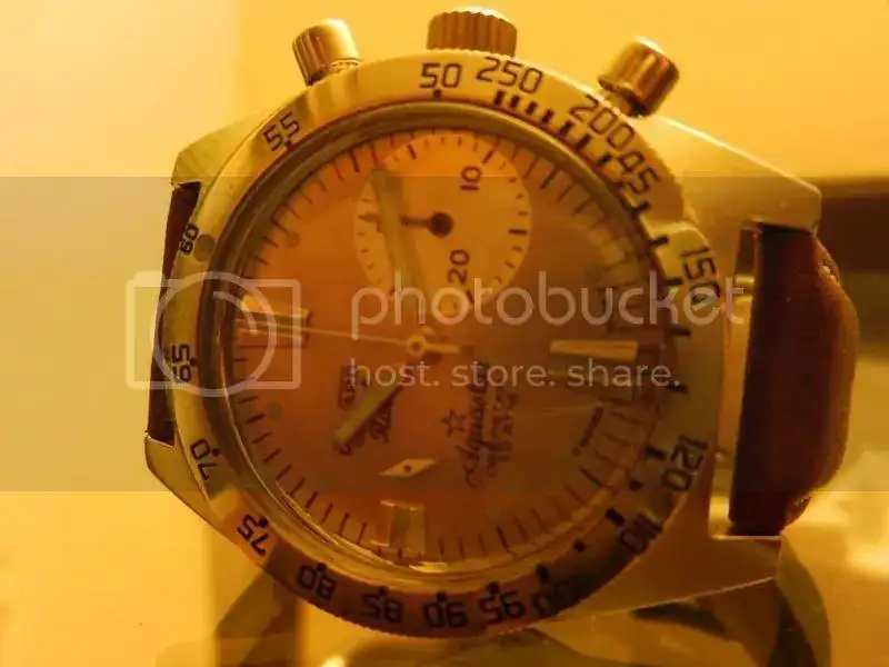 DSCN5253_zps2cba96d8.webp