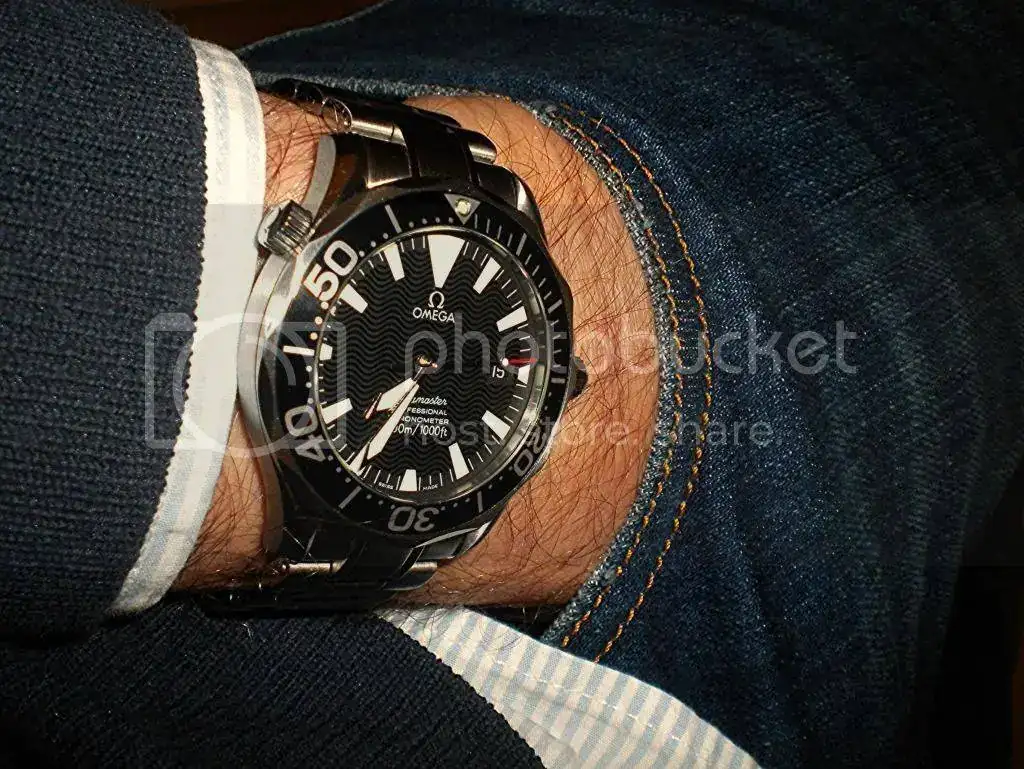 DSCN5264.webp
