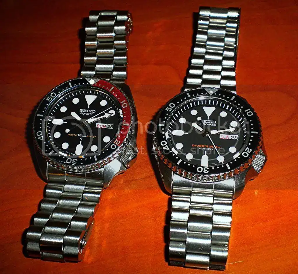 DSCN5288.webp