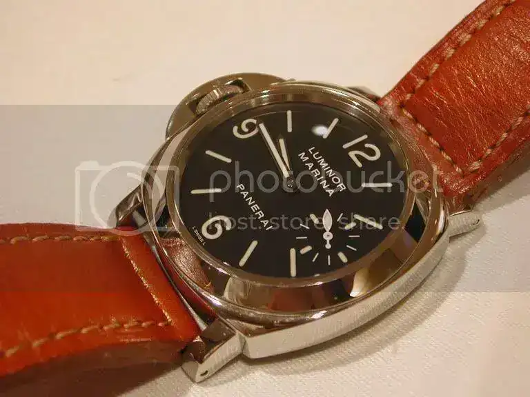 DSCN5349.webp