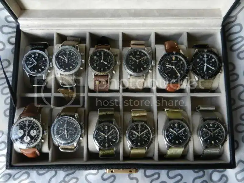 DSCN5354_zpsngv6ghdt.webp
