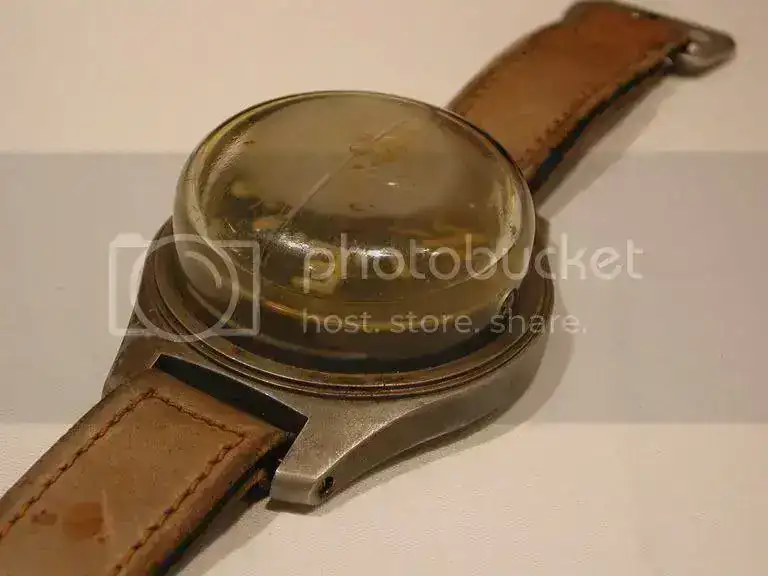 DSCN5359.webp