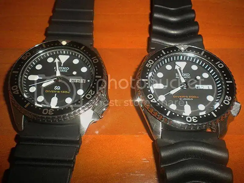 DSCN5457.webp