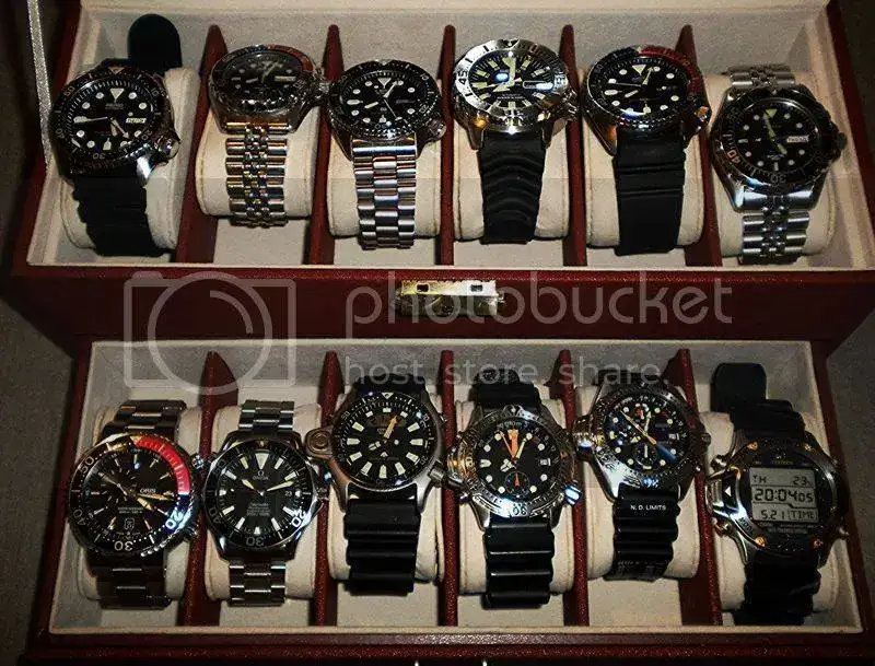 DSCN5572.webp