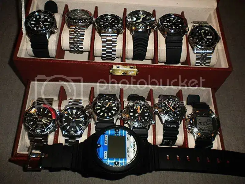 DSCN5576.webp