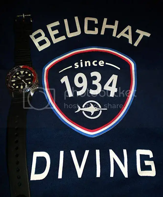 DSCN5661.webp