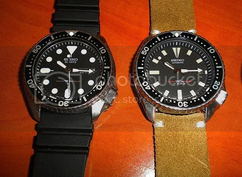 DSCN5674.webp