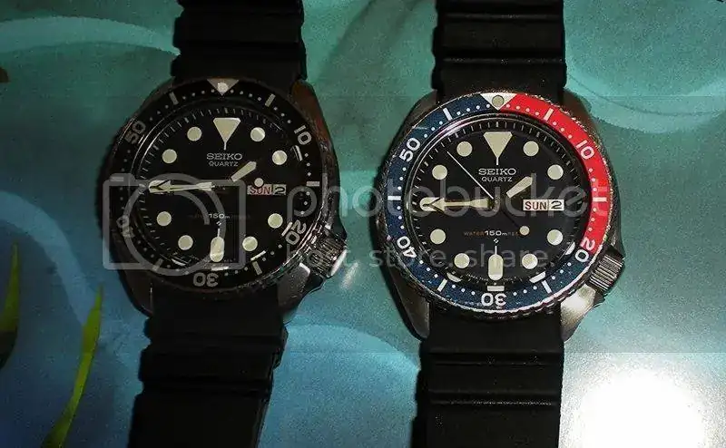 DSCN5690.webp