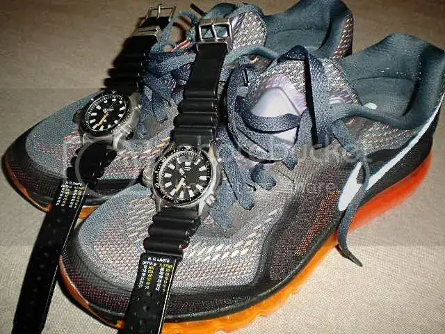 DSCN5730.webp