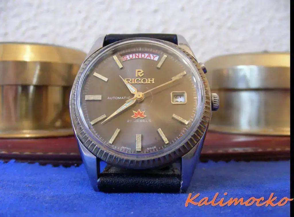 DSCN6003.webp