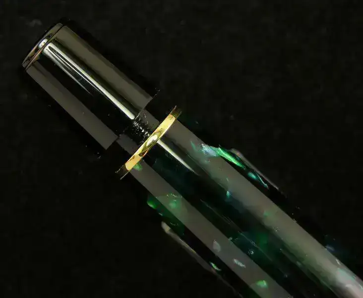 DSCN6245.webp