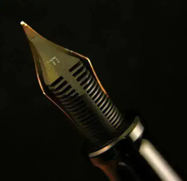 DSCN6249.webp