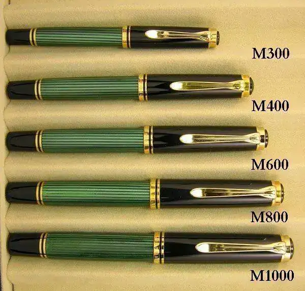 DSCN6421 rotulado.webp