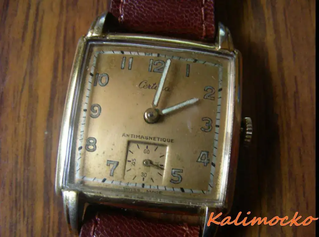 DSCN6732.webp
